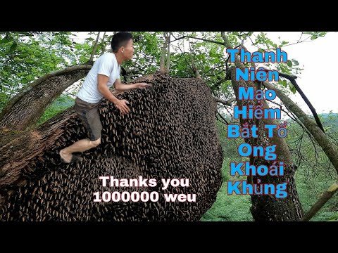 Video: Mặt Tiền Tổ Ong