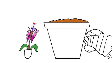 BERT the HORTICULTURALIST