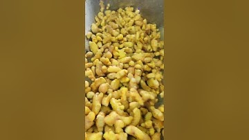 Máy lột và gọt vỏ nông sản: vỏ gừng, nghệ, khoai của Tech Garden. Liên hệ 0935911775 Trần Trinh.