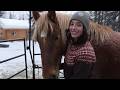 Completing Our Alaska Pack String for the Backcountry | Remote Alaska