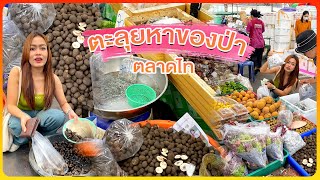 ตะลุยกินของป่า ตามฤดูกาล ตลาดไท