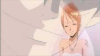 Luffy and Nami ♥ WEDDING