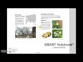 Ecosystems Amplify