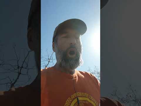 DAY 23 of 30 Days of Compost. Compost bins and Sunlight hqdefault