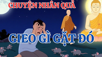 6 Chuyện Nhân Quả Báo Ứng CÓ THẬT Khiến Ai Cũng RỢN NGƯỜI – Gieo Gì Gặt Nấy, Phật Dạy Không Sai!