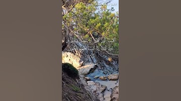 🌺القرآن الكريم 🌺ما تيسر من سورة الكهف ●