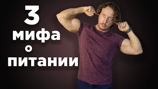 3 Мифа О Питании.