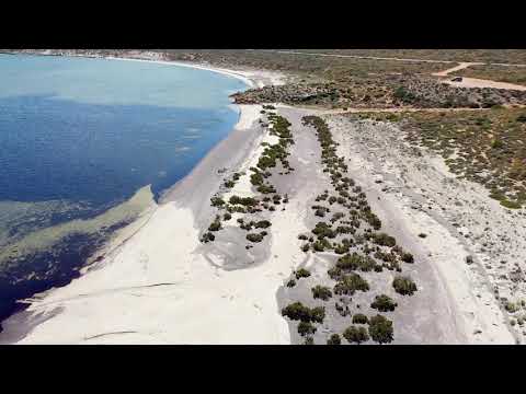 Sorka's Point -