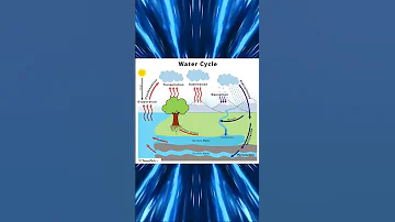 water cycle #geology #fact #earthscience