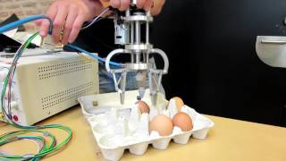 Testing the gripper on eggs!