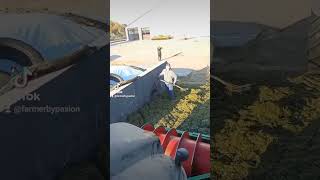 Qq 2022 Gr Milewscyur I Gr Podbielski