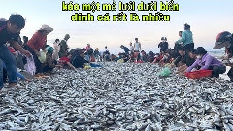  nhiều người dân kéo lứ ở dưới biển dính cá rất là nhiều.