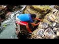 Sacando mariscos del mar tolinas chanques  taking seafood from the sea