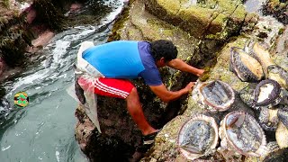 SACANDO MARISCOS DEL MAR, Tolinas, Chanques - taking seafood from the sea
