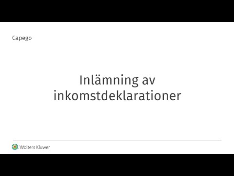 Capego - Inlämning av inkomstdeklarationer