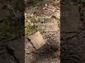 Metal Detecting- A Weekend of Relic Hunting with The XP Deus II !