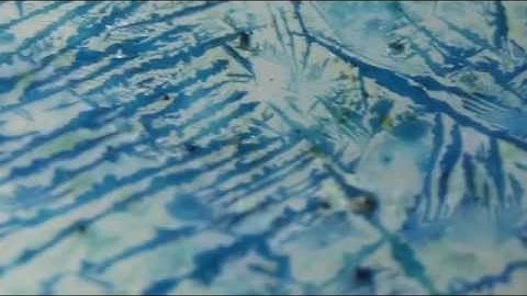 Using a Penny to grow Cu(OAc)2 crystals