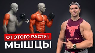 видео: Рабочий подход для Натуральных атлетов/ Без бреда из ТикТока картинка: Рабочий подход для Натуральных атлетов/ Без бреда из ТикТока