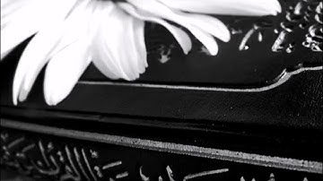 سورة هود بصوت القارئ هاني الرفاعي