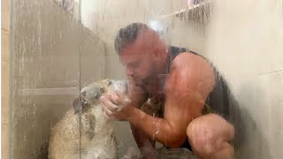 TAKING a SHOWER with MY DOG! by LOLA The Bulldog 141,330 views 6 months ago 5 minutes, 25 seconds