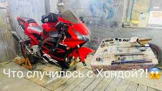 :     Honda CBR 954 RR Fireblade