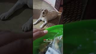 That Foodie ?️ our BECARDI ( Beccu ) | ME THE VLOGGER