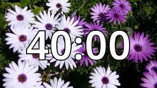 40 Minutes Timer with Music | Spring Timer