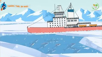 CÁ HEO VỚI ÂM NHẠC - KNTT 3