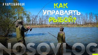 Как управлять рыбой? #карплайфхак,  А. Колесников