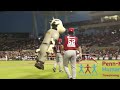 Zooperstars at the York Revolution