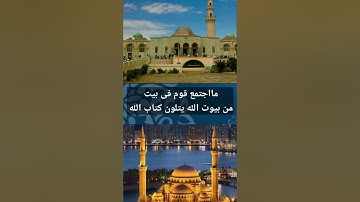 ◇القرآن الكريم ◇الشيخ شوقى بكرى