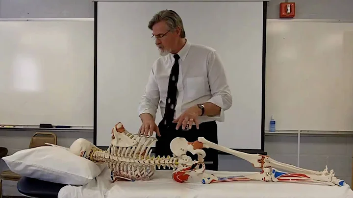 Grading Joint Mobility (Kaltenborn)