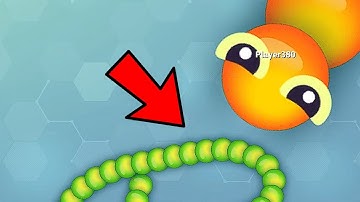 Biggest Snake Died Like A Noob In Snake.io