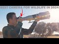 Wildlife photography qa whats best canon cameras in 2024