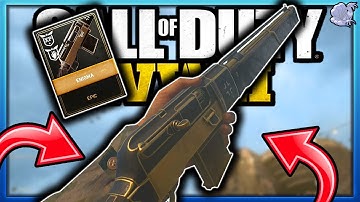 ★Is The Epic TOGGLE ACTION (Enigma) WORTH It? | COD: WW2 (Multiplayer & Zombies Review)