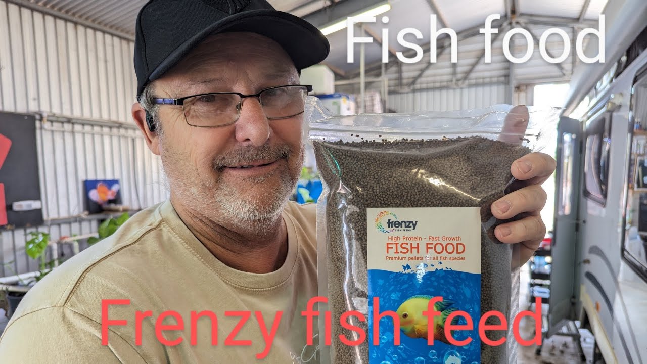 fish food and what sized food to use to feed your fish? fish goldfish