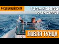 Рыбалка на тунца Северный Кипр, поймали большого тунца на Кипре | DREAM LIFE NORTH CYPRUS