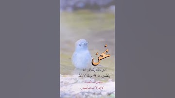 سبحان الله و الحمد لله 💞 #استغفار #صلوا_على_النبي #اكسبلور #أفكار_منزلية #اذكار_الصباح #تسبيح#لايك