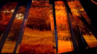 AKB48 (TEAM SURPRISE) - Yume Wo Miru Nara