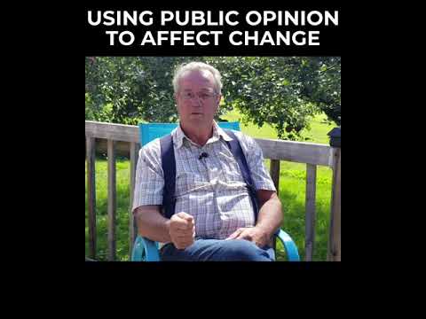 Using Public Opinion to Affect Change