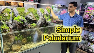 How to make big and Simple paludarium 😋