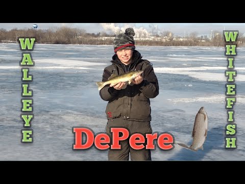 DEPERE SIGHT FISHING WALLEYE AND WHITEFISH!! (ICE FISHING VOYAGER PARK!  FAST ACTION!) 