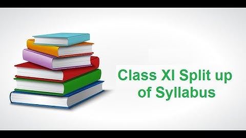XI SPLIT UP SYLLABUS 2020 21