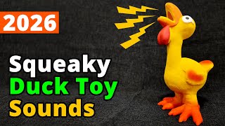 Duck Squeaky Toy Sounds That Drive Dogs Crazy 🐶