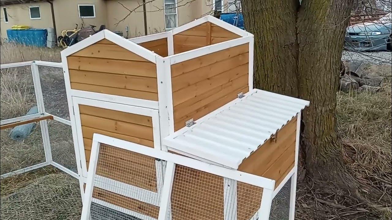 Making a Coop Stronger Reinforcing Cheap Chicken Coop with Basic Tools