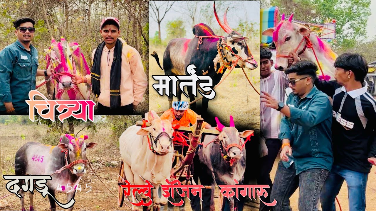 🔸अंजप बिंजोड बैलगाडा भव्य मैदान | 18/2/2026 