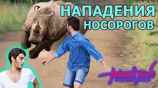 Нападения носорогов на людей