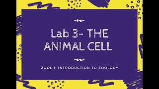 Lab 3 - The Animal Cell Pre-Lab Discussion
