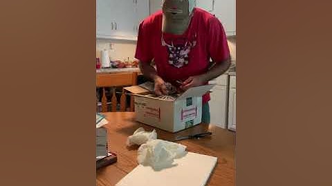 Vlog #1 Unboxing my First Ball Python