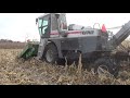 danny picking corn 2018